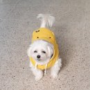 태영생막창41 이미지