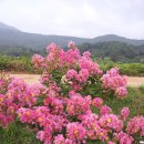 예당구장 이미지