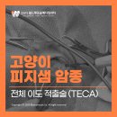 이도메디컬 이미지