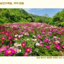 작약정원