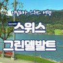 기차마을아파트 | 📍로마에서 스위스 기차 여행｜그린델발트 이동 후기 (뷰 미쳤어요)