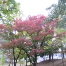 명륜동-10 이미지