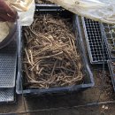 점말농장 이미지