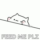 제주꽃돈144