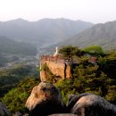 숲속아침 이미지