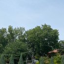 퍼스트가든(삐아또 고매) 이미지