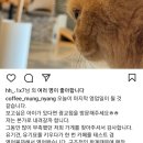 커피멍냥 광교역점 네이버블로그
