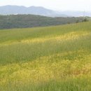 앵두목장 이미지