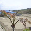 자연향기민박 이미지