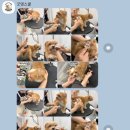 굿댕스쿨 이미지