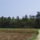 대진보건진료소 이미지