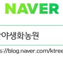 60계치킨충남서산 이미지