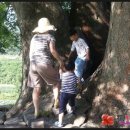 가정농장 이미지