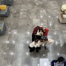 소현매점 | 왜 벌써 2월이야...?