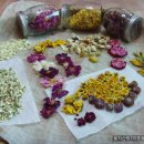 꽃 꿀방 이미지