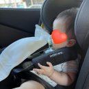 넥스트올 | 뉴나 트래블시스템 (피파넥스트, BMW 트래블lx) 내돈내산 구매 및 사용 후기