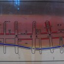부산회집 이미지
