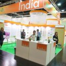 엔젤스토리 이미지