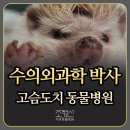 조형선외과동물병원 이미지