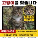 아산 둔포 구제빈티지샵 바글바글 | 네임브랜드...1/10 가격에 득템한 내돈내산 후기 (베베드피노...