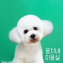 뭉치네 미용실 이미지