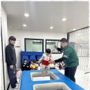 푸른 경희대 태권도장 이미지