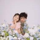 베어스냅 이미지