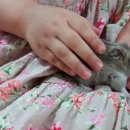 까망이PC 이미지