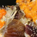 개들의 만찬 이미지