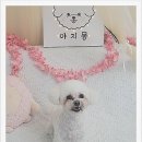 임광슈퍼 이미지