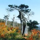 인창1로L 이미지