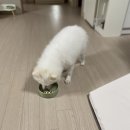 멍스데이 이미지