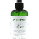 곱슬강아지 이미지