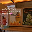 카페단 이미지