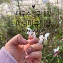 대구비슬유치원 맞은편 | [대구뷰티샵] 꼼꼼하게 예쁜 손톱으로 만들어주는 수성구네일 맛집 ‘메이미뷰티’