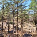 성주봉 자연휴양림 강당 화장실 이미지