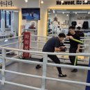 파파복스 복싱클럽 이미지