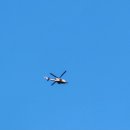 대현농장 이미지