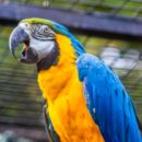 팡팡캠핑장 이미지