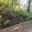 보덕사길 이미지