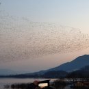 오리여행 이미지