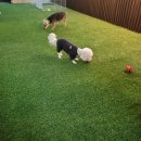 탑클래스 호텔·유치원 이미지