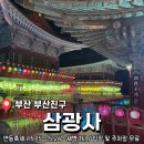 차나무숲 | CNN에서 극찬한 한국에서 꼭 가봐야할 명소 <삼광사 연등축제> 후기