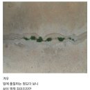 제44강 디카시 한 편(전현주, 성환희) 이미지