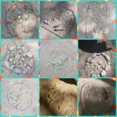 꼬마세계어린이집 이미지