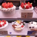 파리케익 이미지