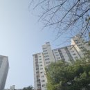 삼숭고등학교 | 양주자이1단지아파트에서 진행한 삼숭자이비디오폰 교체, 양주자이인터폰 신모델 호환 설치 후기