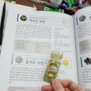 왕비아로마 이미지