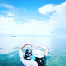 띵가띵가 음악아 놀자~(음악 레크리에이션) | [필리핀] [세부놀자호핑] 15년 무사고 제대로 노는 놀자호핑(무한 스노쿨링,맛집 포함) 3,000원 할인...