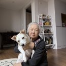 몽벨로 펫 케어센터 이미지